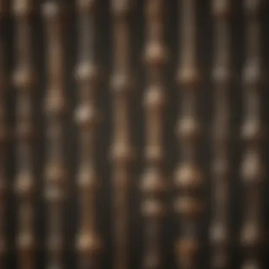 Close-up of various exterior wood screws showcasing different head types