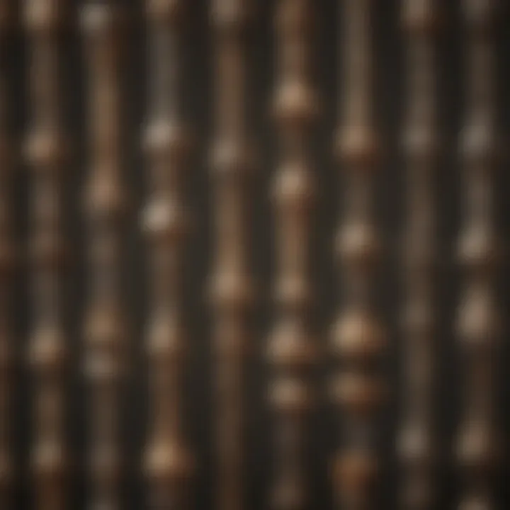 Close-up of various exterior wood screws showcasing different head types