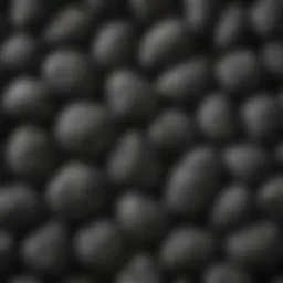 Different types of lump charcoal showcasing their texture and quality