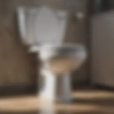 Elegant A Comprehensive Look at Safety 1st Toilet Locks A Comprehensive Look at Safety 1st Toilet Locks Elegant
