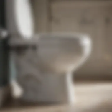 Glorious A Comprehensive Look at Safety 1st Toilet Locks Glorious A Comprehensive Look at Safety 1st Toilet Locks