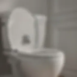 A Comprehensive Look at Safety 1st Toilet Locks Introduction