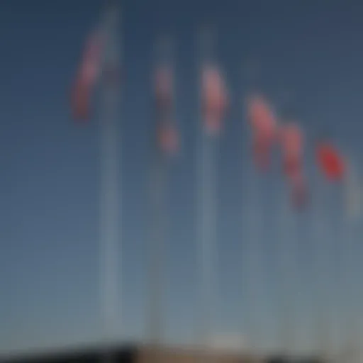 Variety of flagpole styles available at Ace Hardware