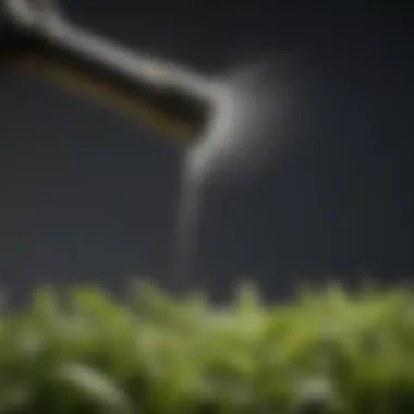 Adjustable Patterns Feature of Garden Spray Nozzle