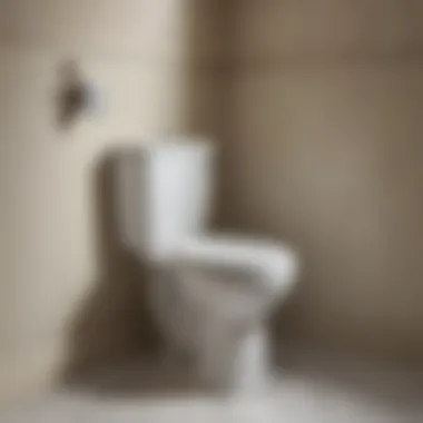 Common issues with American Standard Colony toilet tank