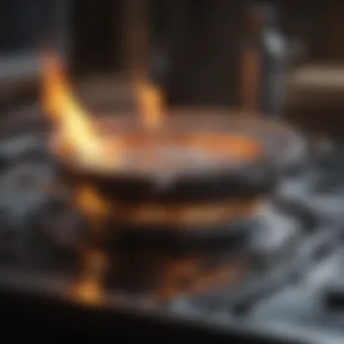 An In-Depth Analysis of the Weber Q3200 Burner Elegant