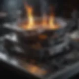 An In-Depth Analysis of the Weber Q3200 Burner Introduction