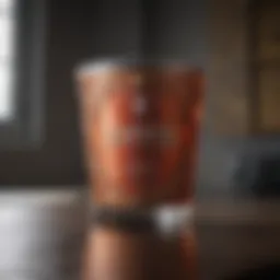 Innovative Wagner paint applications in construction