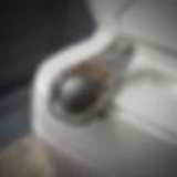 Anatomy of a Toilet Seat - Hinge mechanism