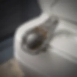 Anatomy of a Toilet Seat - Hinge mechanism