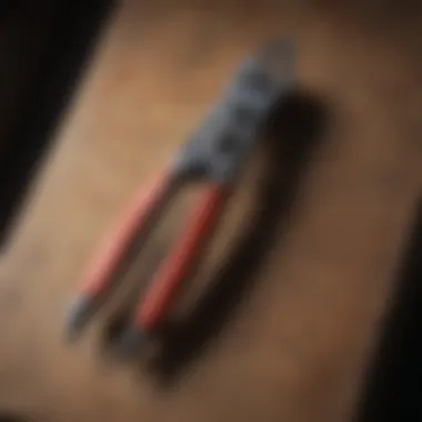 Antique Handheld Pruners