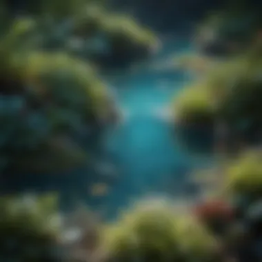 Diverse Aquatic Flora in Crystal Clear Waters