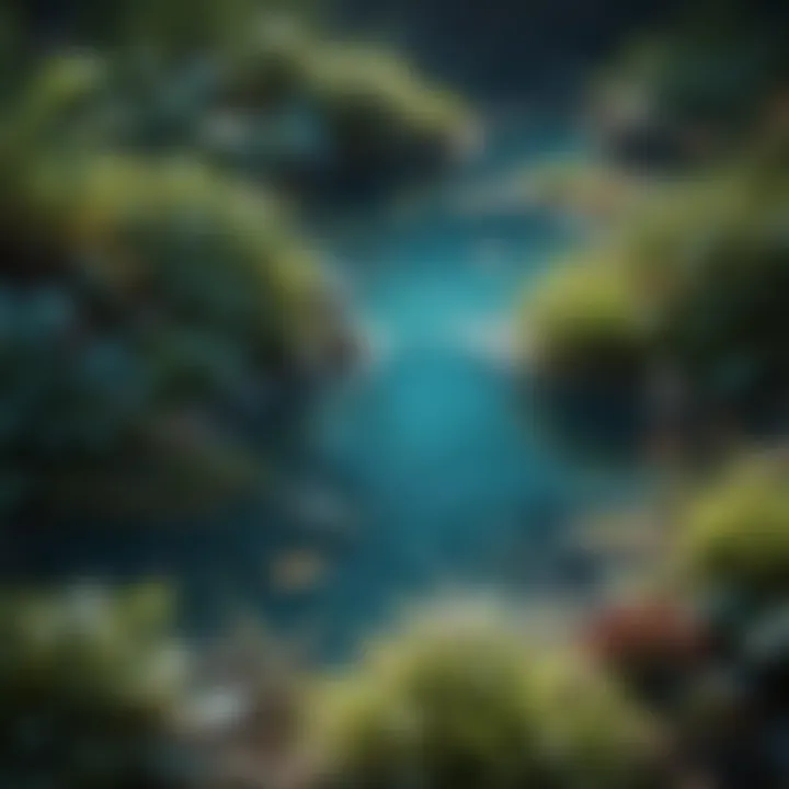 Diverse Aquatic Flora in Crystal Clear Waters