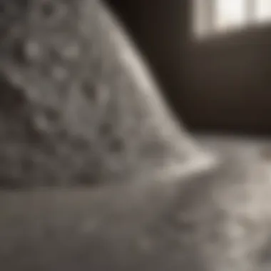 Artistic Application of Low Odor Contact Cement