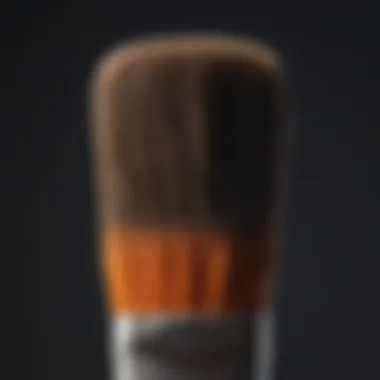 Artistic Duralux Paintbrush Strokes