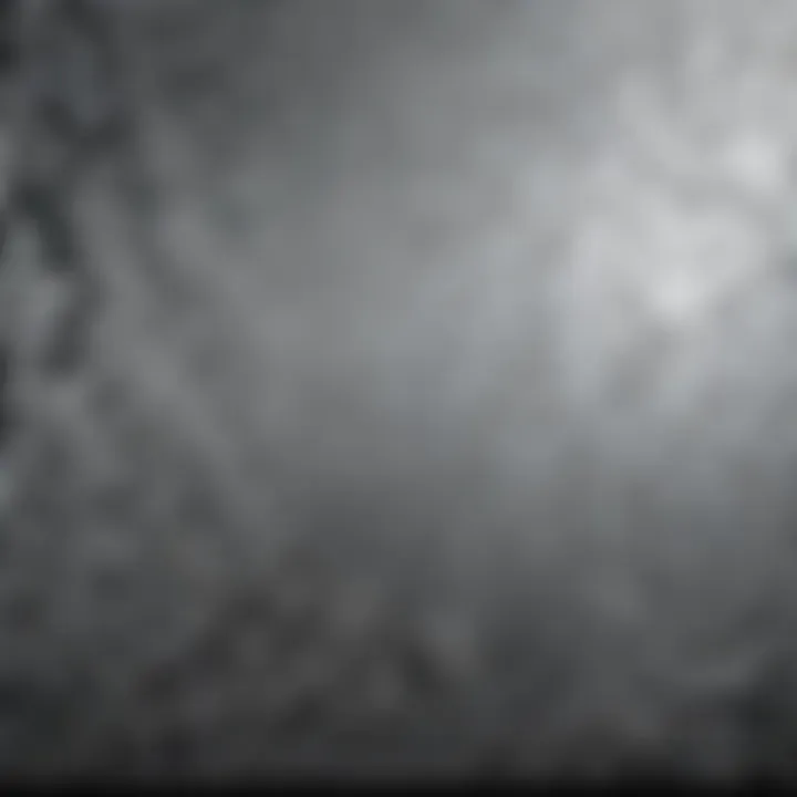 Intricate Design of Artscape Etched Glass Intricate design of etched glass panel