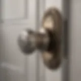 Illustration of an elegant and secure door lock mechanism