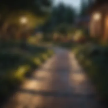 Elegant Pathway Lighting Elegant pathway lights illuminating a garden path