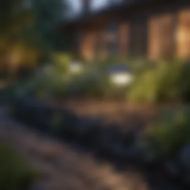 Innovative Solar Garden Lighting Innovative solar garden lights blending with nature