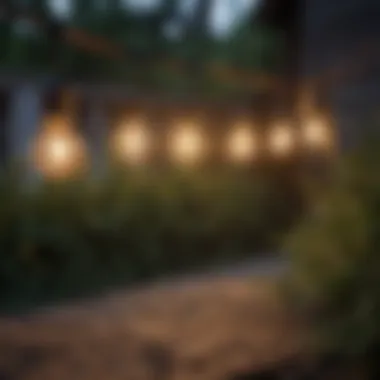Charming String Lights for Backyard Gatherings Stylish string lights adding charm to a backyard gathering