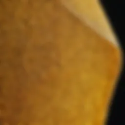 A close-up of a beekeeping veil showcasing its fine mesh fabric