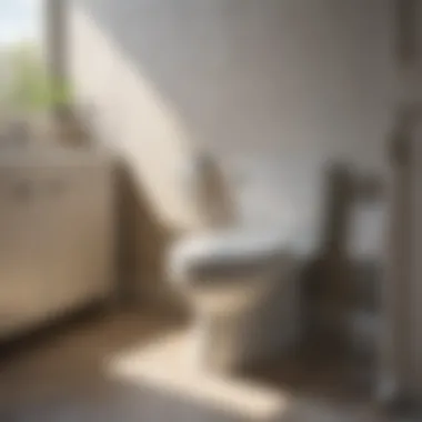 Easy Maintenance Tips for Bemis Round Front Toilet Seat