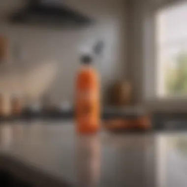 Bengal Roach Spray in a modern kitchen setting