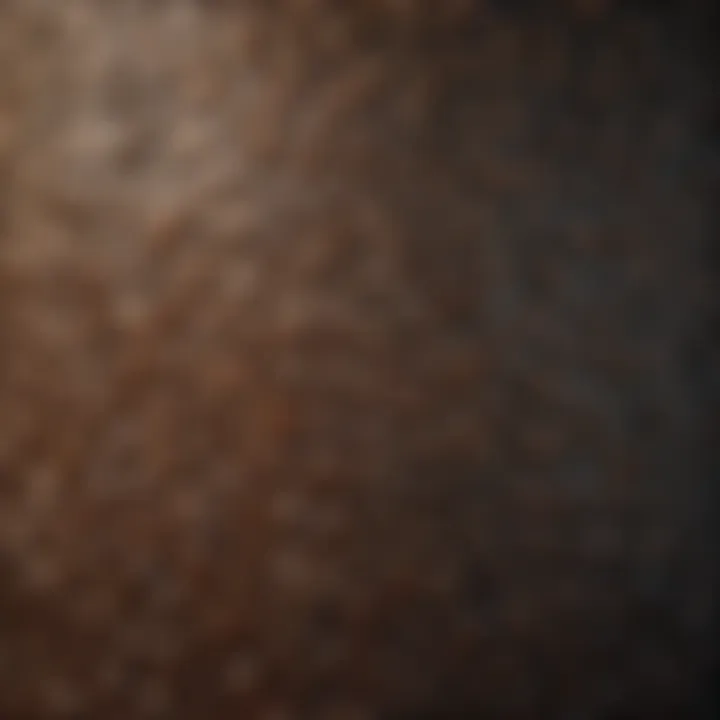 Canvas Texture Variety
