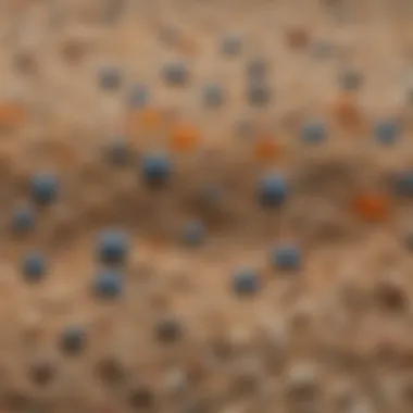 Close-up of pool filter sand particles under microscope