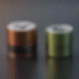 Visual comparison of top rechargeable D cell batteries