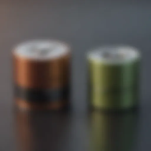 Visual comparison of top rechargeable D cell batteries