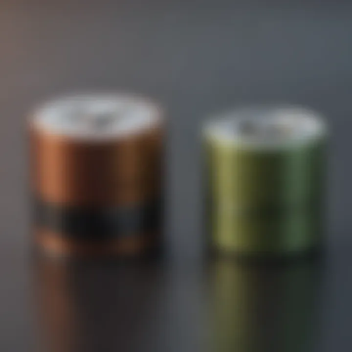 Visual comparison of top rechargeable D cell batteries