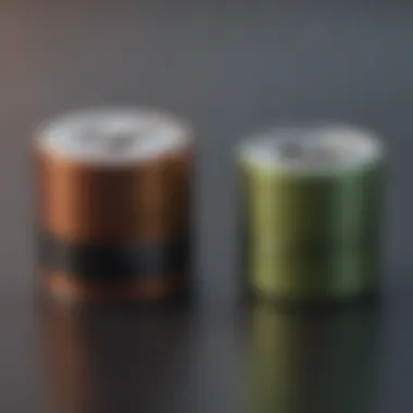 Comparison of Leading Rechargeable D Cell Batteries Visual comparison of top rechargeable D cell batteries