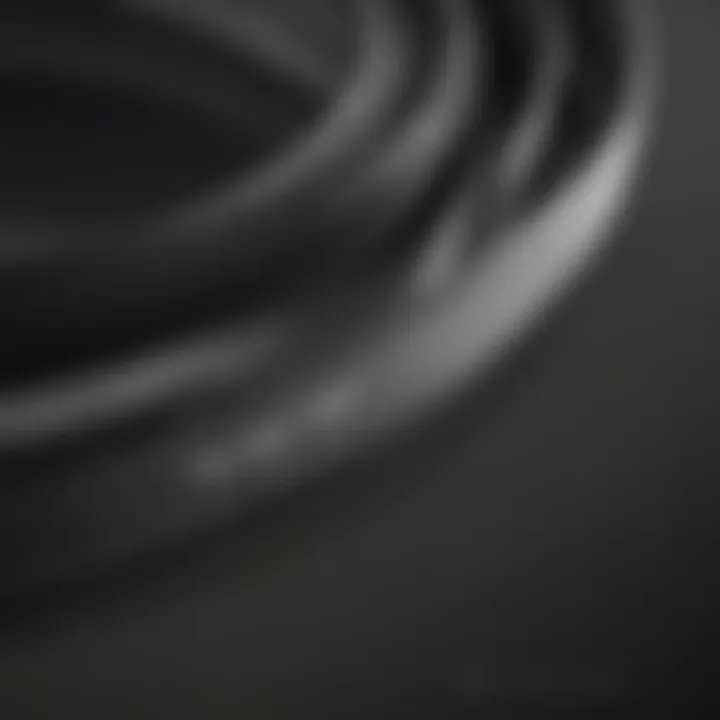 Detailed view of the Bissell CleanView Belt showcasing its design and structure.