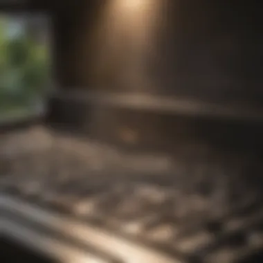 Even heat distribution in Blackstone Gas Grill