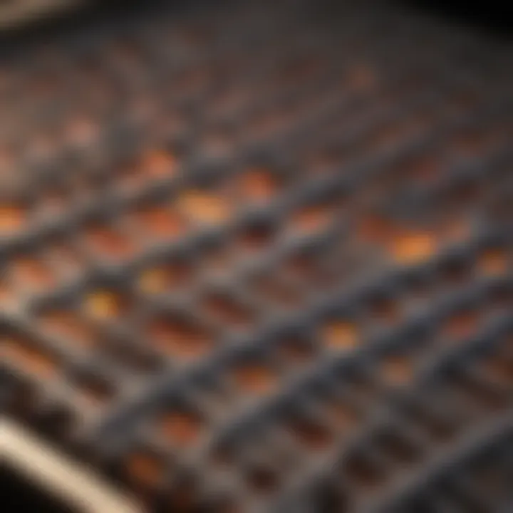 Grill Grates Close-up