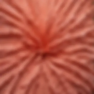 Blushing Coral Krylon Fusion Paint Color