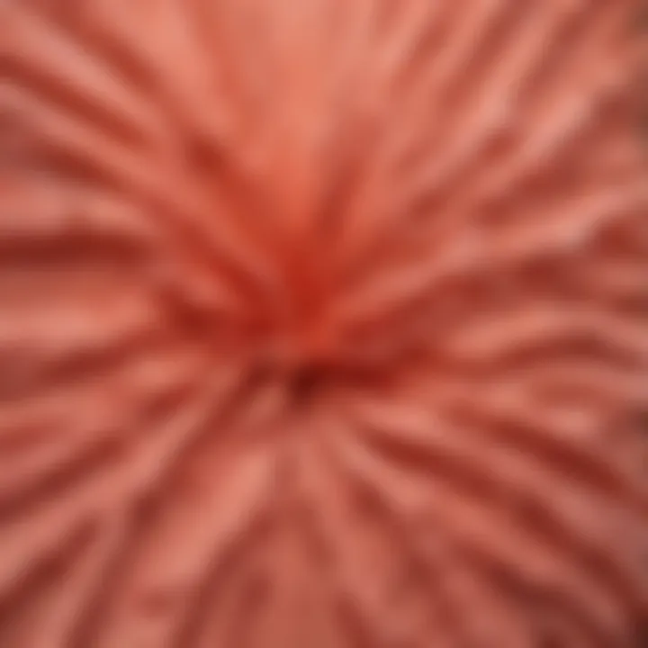 Blushing Coral Krylon Fusion Paint Color