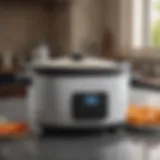 Black & Decker Rice Cooker Bowl Replacement Guide - Bowl Identification