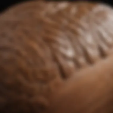 Luxurious Honeyed Walnut