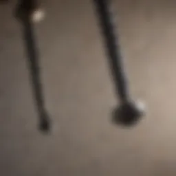 Ceiling fan blade screws assortment