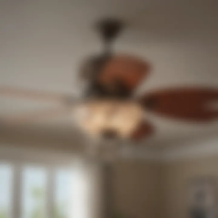 Ceiling fan wiring safety measures depicted
