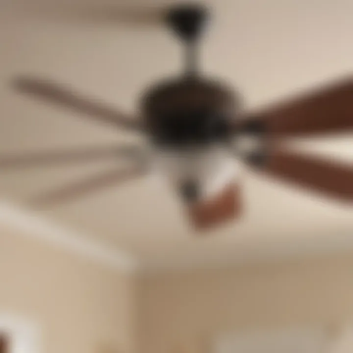 Ceiling fan wiring process guide