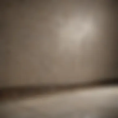 Installation techniques for ceramic tile trims displayed in a stylish setting