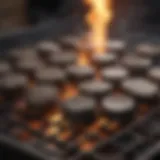 Smoldering Charcoal Briquettes in a Grill