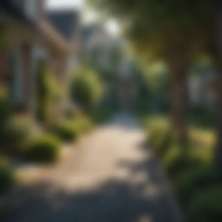 Charming Tuscola IL Suburban Street with Lush Greenery