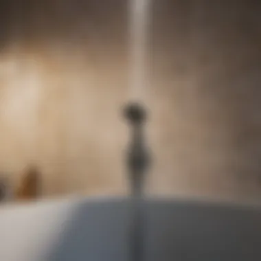 Chemical composition breakdown of a popular shower cleaner