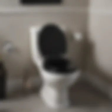 Chic Black Mayfair by Bemis Toilet Seat Elegantly Designed Mayfair by Bemis Toilet Seat in Chic Black