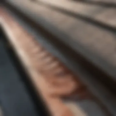 Foam Gutter Guard for Plastic Gutters Foam gutter guard providing protection for plastic gutter