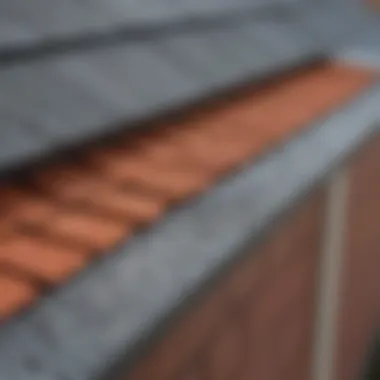 Micro Mesh Gutter Guard for Plastic Gutters Micro mesh gutter guard preventing debris in plastic gutter